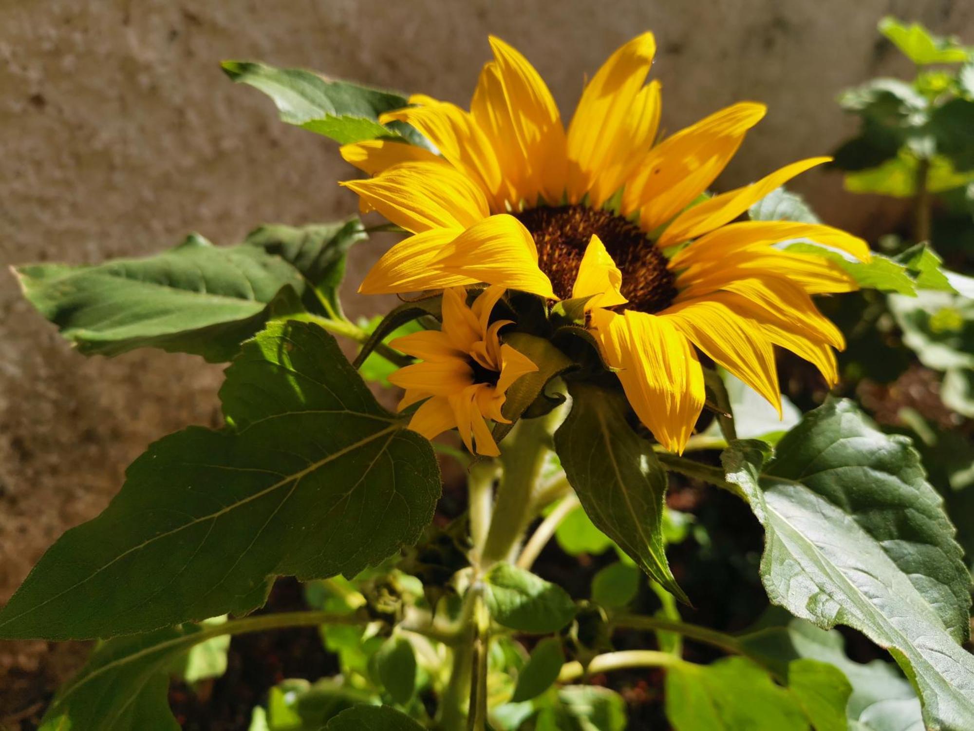 Eden Guesthouse Sardina Kültér fotó